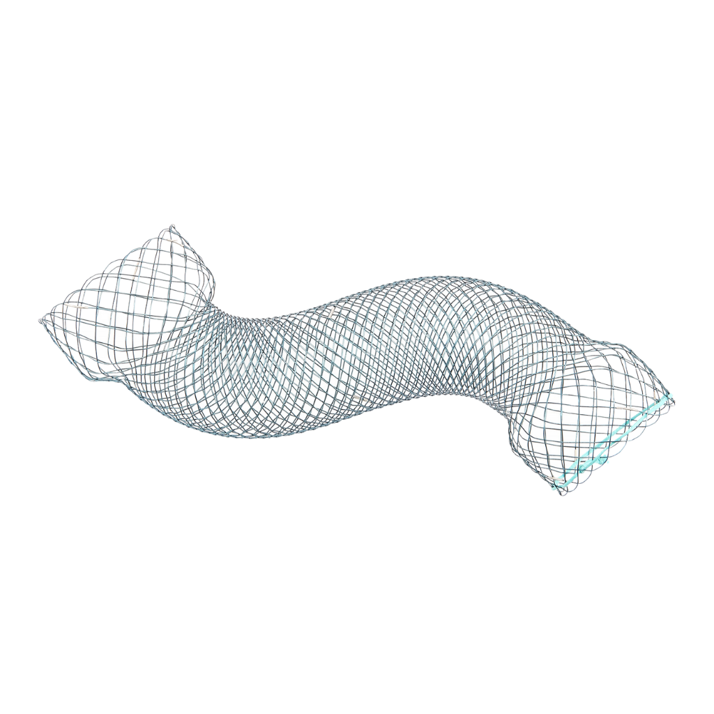 Taewoong Esophagus Stent